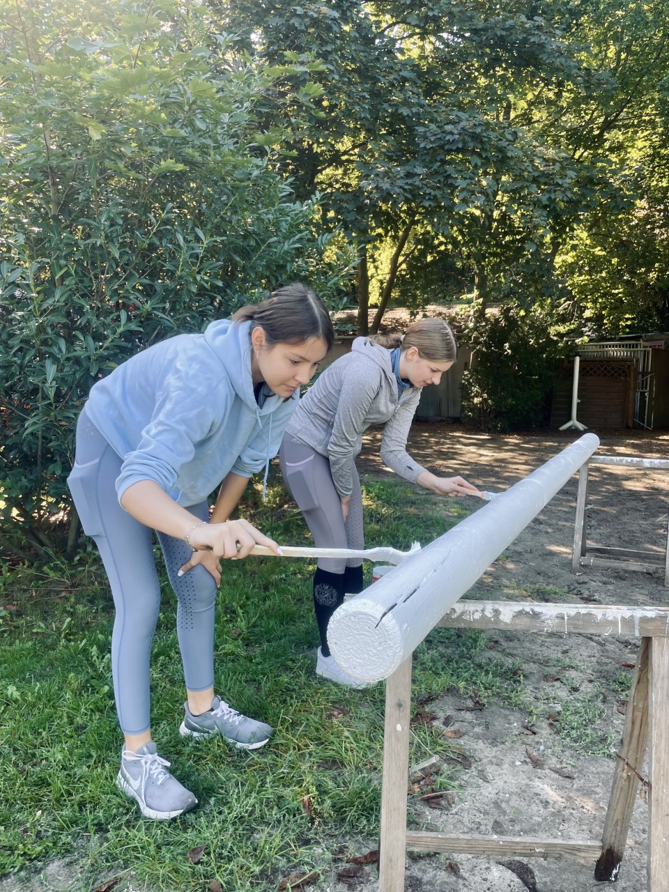 Arbeitseinsatz 2.jpg